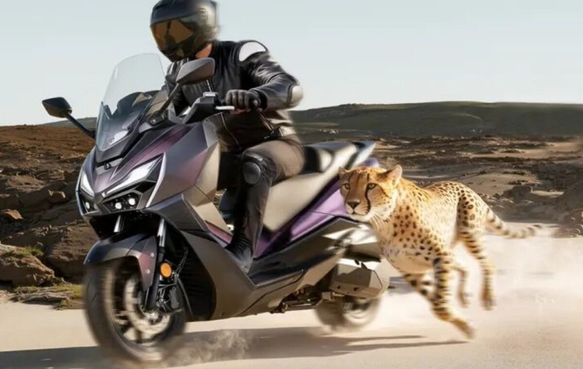 SYM JEPARDO 300: maxi-scooter 278cc trang bị Cornering ABS và IMU